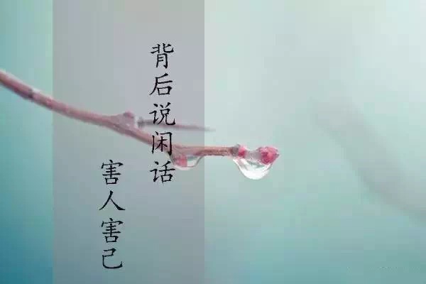 1542940478472883.jpg 1542940478472883.jpg