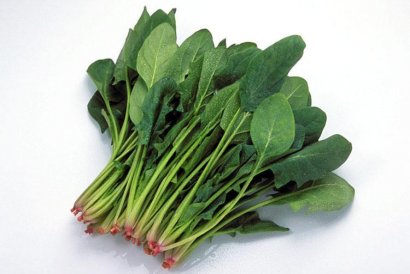 菠菜適合哪些人吃？