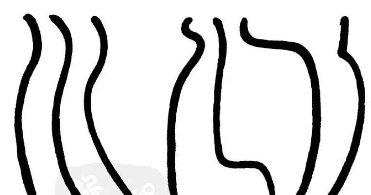 1545035795557918.jpg