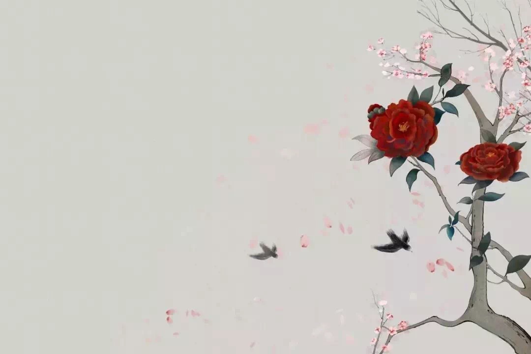 1548320380483330.jpg 1548320380483330.jpg