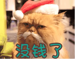 1548816928204485.gif