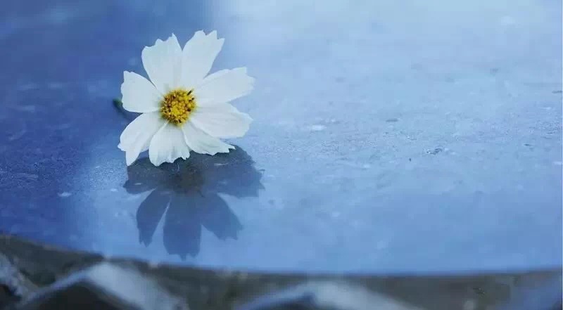 1548901339728058.jpg 1548901339728058.jpg