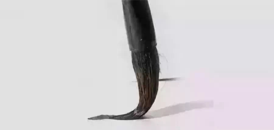 1548926154635502.jpg