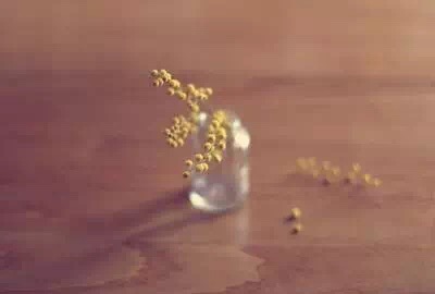 1550570723273056.jpg 1550570723273056.jpg