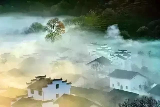 1550648471418132.jpg