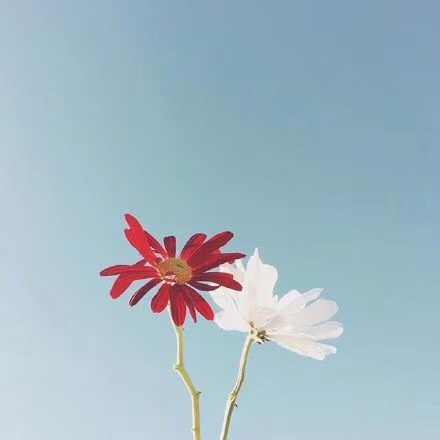 1557734285583250.jpg 1557734285583250.jpg