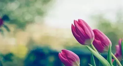 1557889217665073.jpg