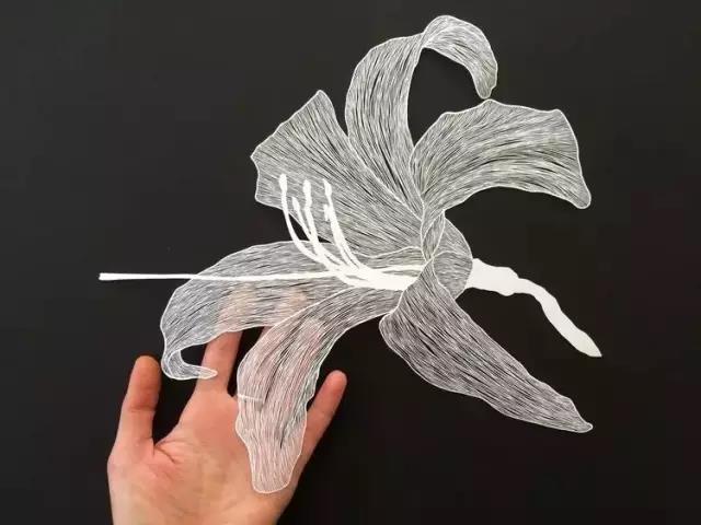 1560307118367212.jpg