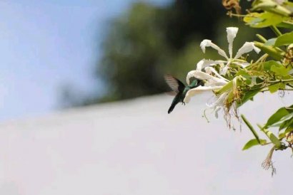  氣決定您的壽命