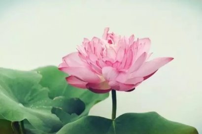  著名“錯配詩”，越錯越有味！