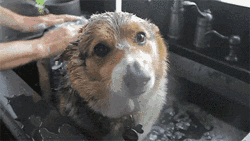 1565678655425644.gif