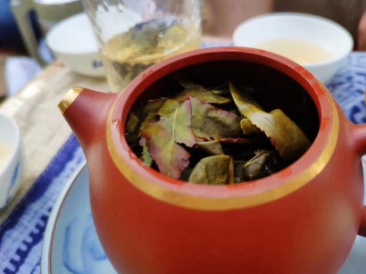  這樣喝茶，百害而無一利！