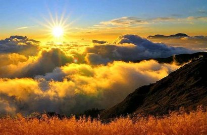  散文：一指流年處，心安花自香 ?
