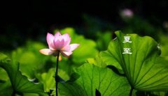 6.21談夏至
