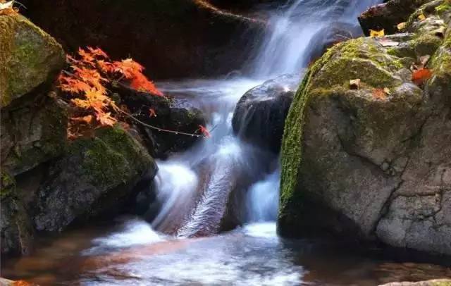 古人六養(yǎng):水聲養(yǎng)耳,綠草養(yǎng)目,書卷養(yǎng)心