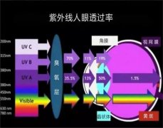 夏日炎炎，眼睛也要防曬