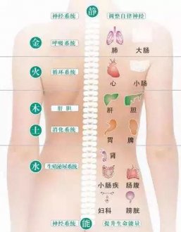排濕毒關(guān)鍵在背部！身體健康全靠它