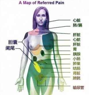 人的保質期 看完驚呆了！