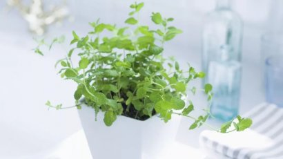 學會快樂　別辜負生活！