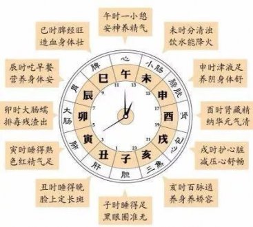 十二時辰養生表
