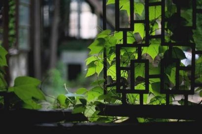 人有三“順”一順則百順